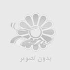 خريد نهال آنلاين با تخفيف ويژه